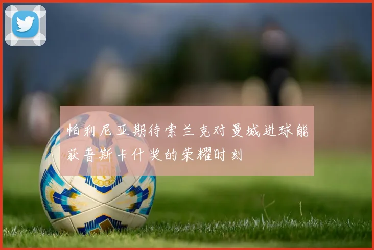帕利尼亚期待索兰克对曼城进球能获普斯卡什奖的荣耀时刻